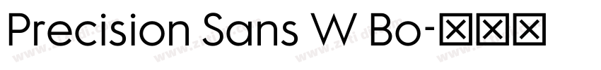 Precision Sans W Bo字体转换